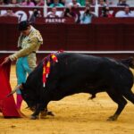 Málaga, 17 de agosto de 2018