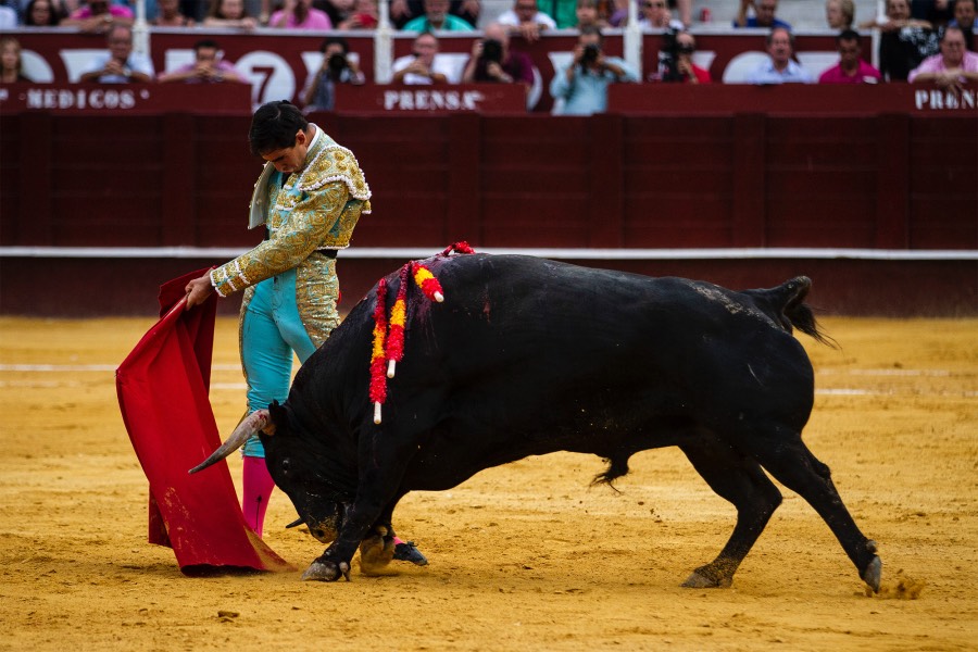 Málaga, 17 de agosto de 2018
