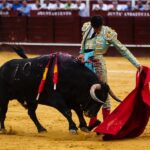 Málaga, 17 de agosto de 2018