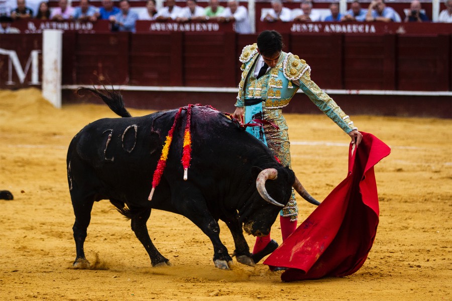 Málaga, 17 de agosto de 2018
