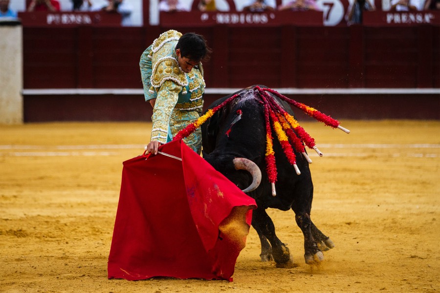 Málaga, 17 de agosto de 2018