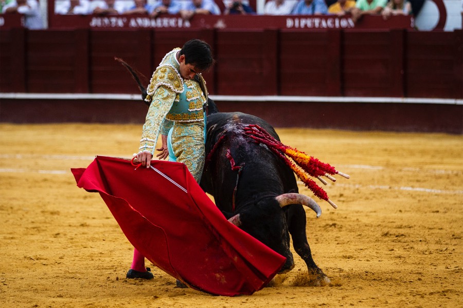 Málaga, 17 de agosto de 2018