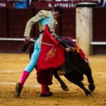 Málaga, 17 de agosto de 2018