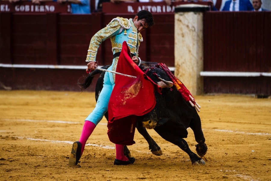 Málaga, 17 de agosto de 2018