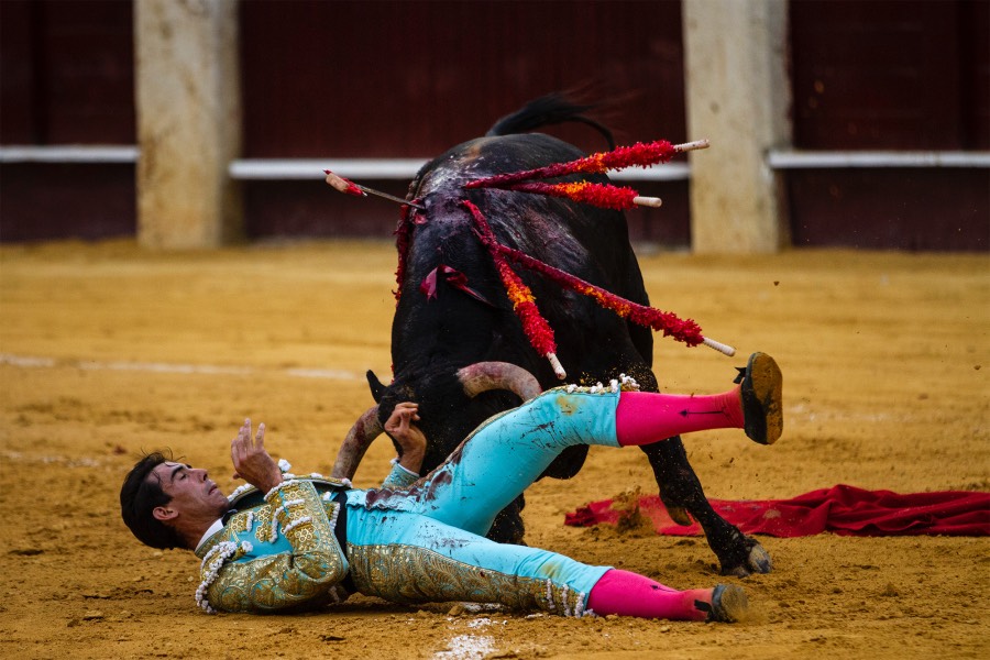 Málaga, 17 de agosto de 2018