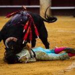 Málaga, 17 de agosto de 2018