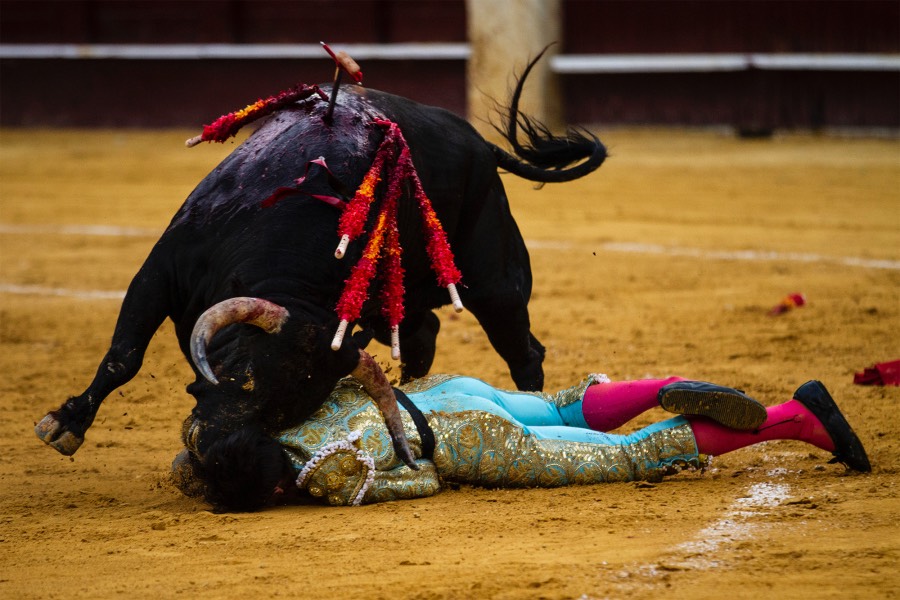 Málaga, 17 de agosto de 2018
