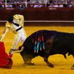 Málaga, 17 de agosto de 2018