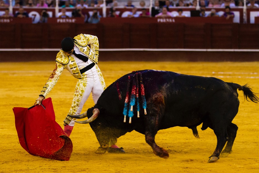 Málaga, 17 de agosto de 2018