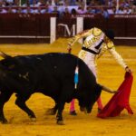 Málaga, 17 de agosto de 2018