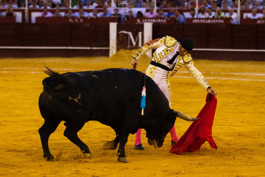 Málaga, 17 de agosto de 2018