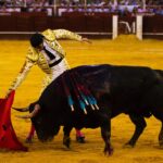 Málaga, 17 de agosto de 2018