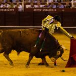 Málaga, 17 de agosto de 2018