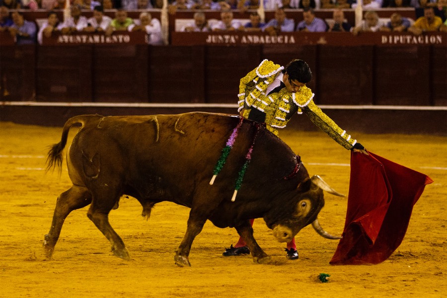 Málaga, 17 de agosto de 2018