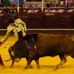 Málaga, 17 de agosto de 2018