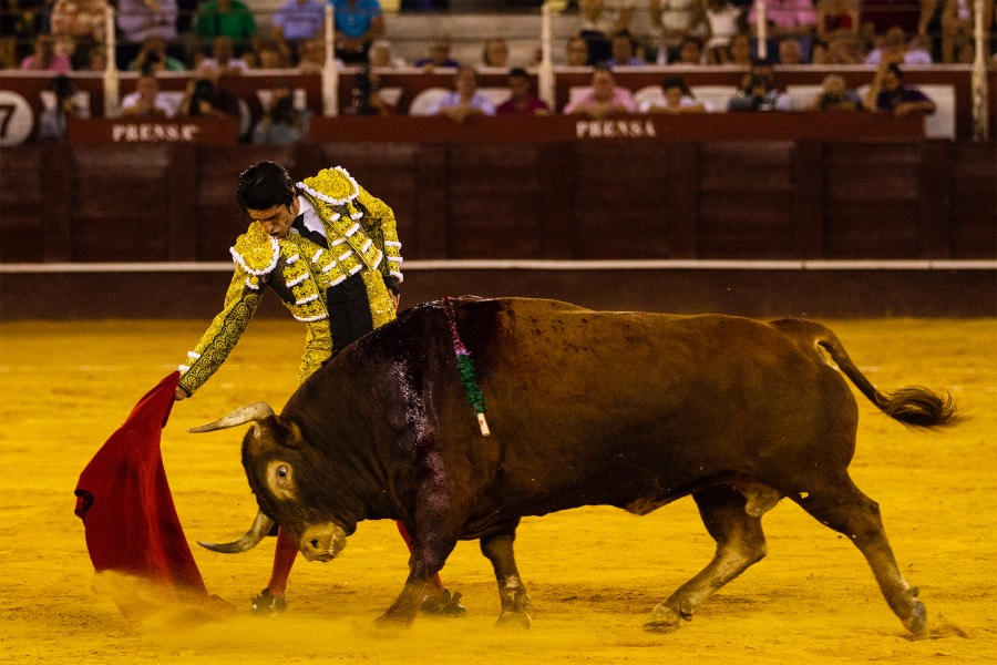 Málaga, 17 de agosto de 2018