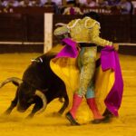 Málaga, 17 de agosto de 2018