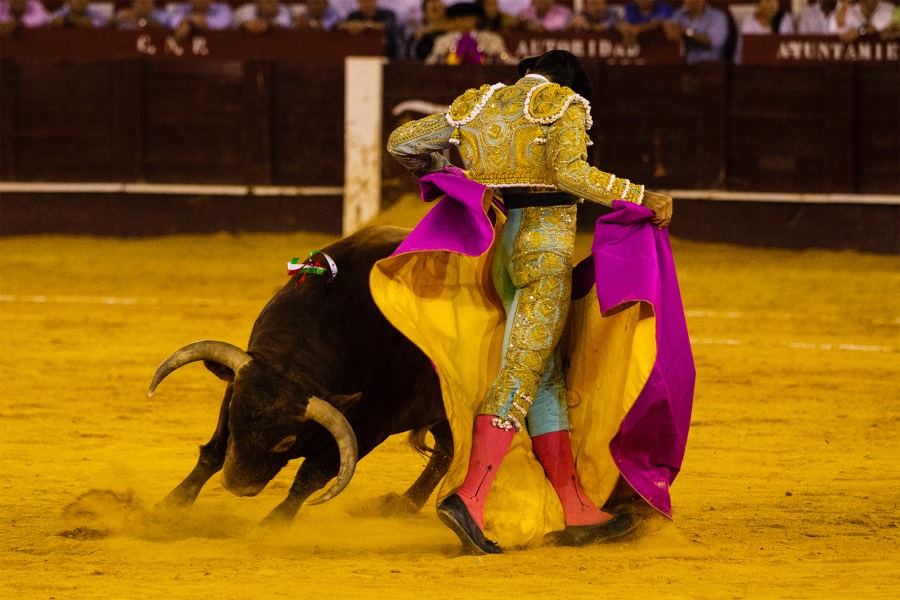 Málaga, 17 de agosto de 2018