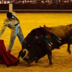 Málaga, 17 de agosto de 2018