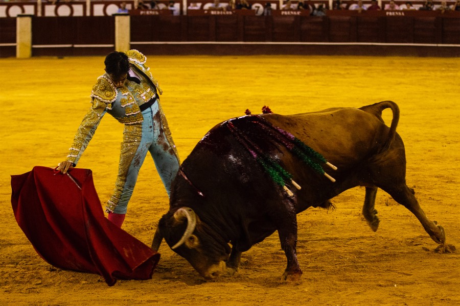 Málaga, 17 de agosto de 2018