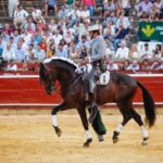 Huelva - Corrida de rejones - Domingo 5 de agosto de 2018