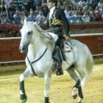 Huelva - Corrida de rejones - Domingo 5 de agosto de 2018