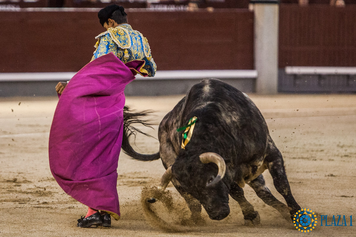 Madrid - Novillada nocturna - Viernes 3 de agosto de 2018
