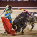 Madrid - Novillada nocturna - Viernes 3 de agosto de 2018