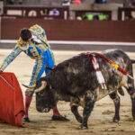 Madrid - Novillada nocturna - Viernes 3 de agosto de 2018