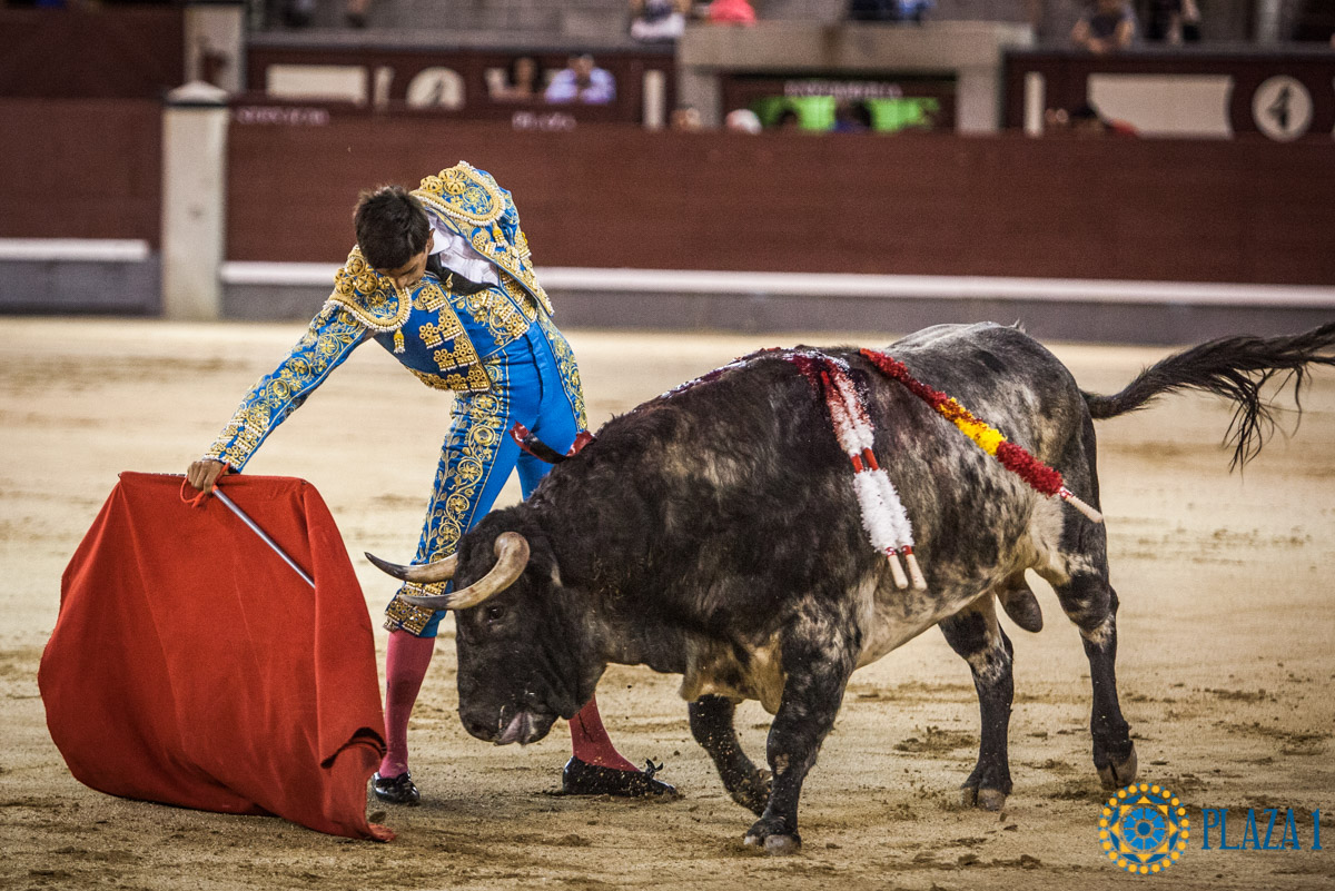 Madrid - Novillada nocturna - Viernes 3 de agosto de 2018