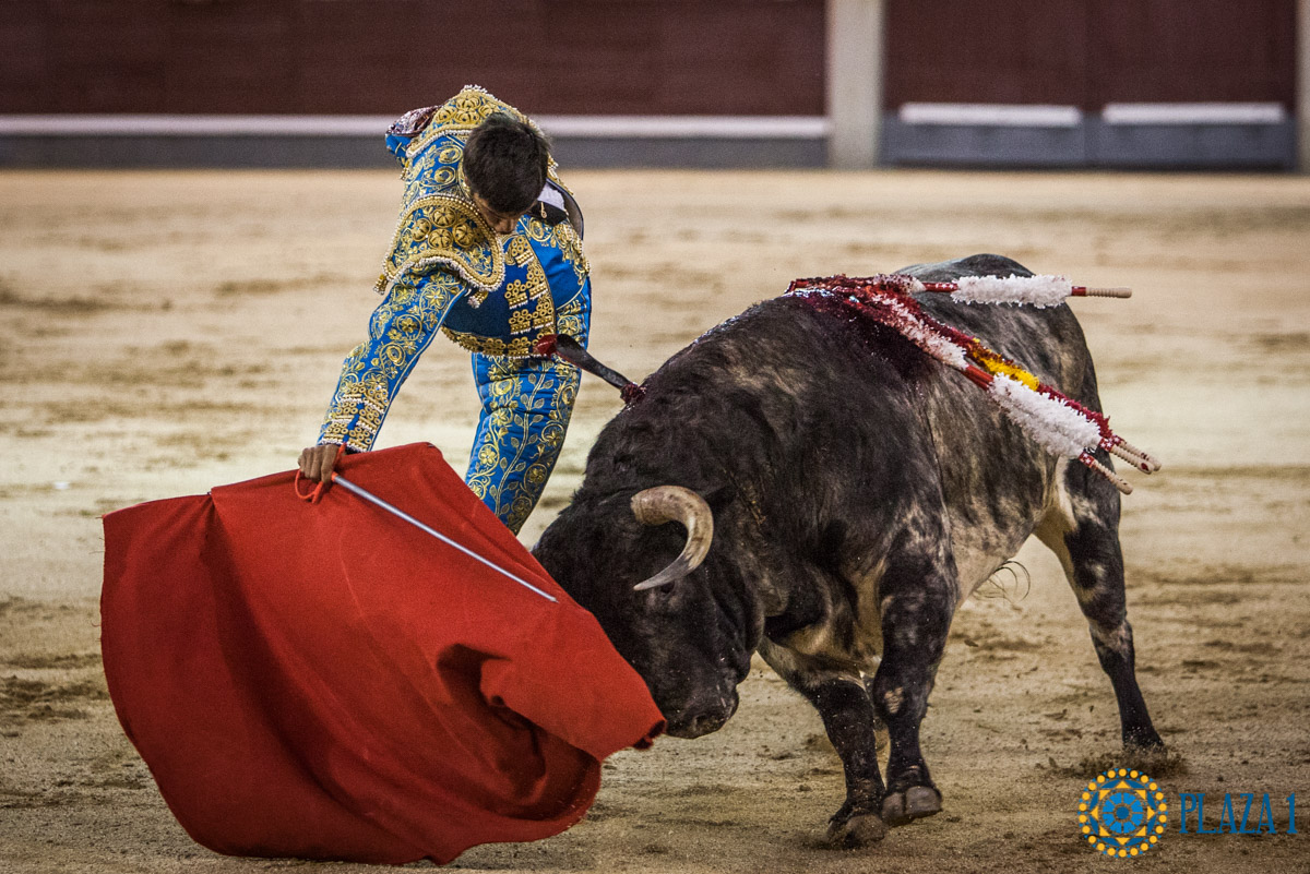 Madrid - Novillada nocturna - Viernes 3 de agosto de 2018