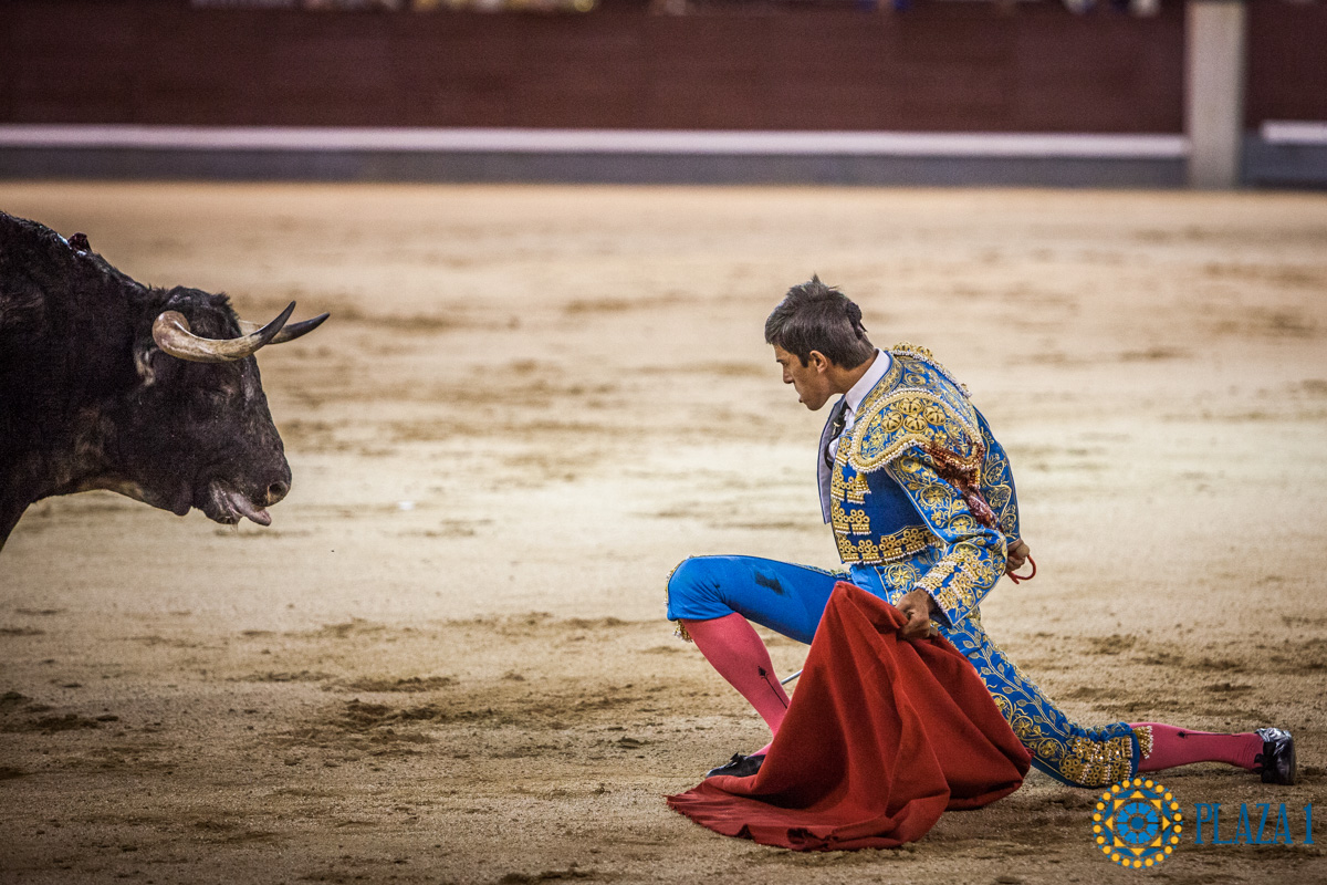 Madrid - Novillada nocturna - Viernes 3 de agosto de 2018