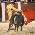 Madrid - Novillada nocturna - Viernes 3 de agosto de 2018