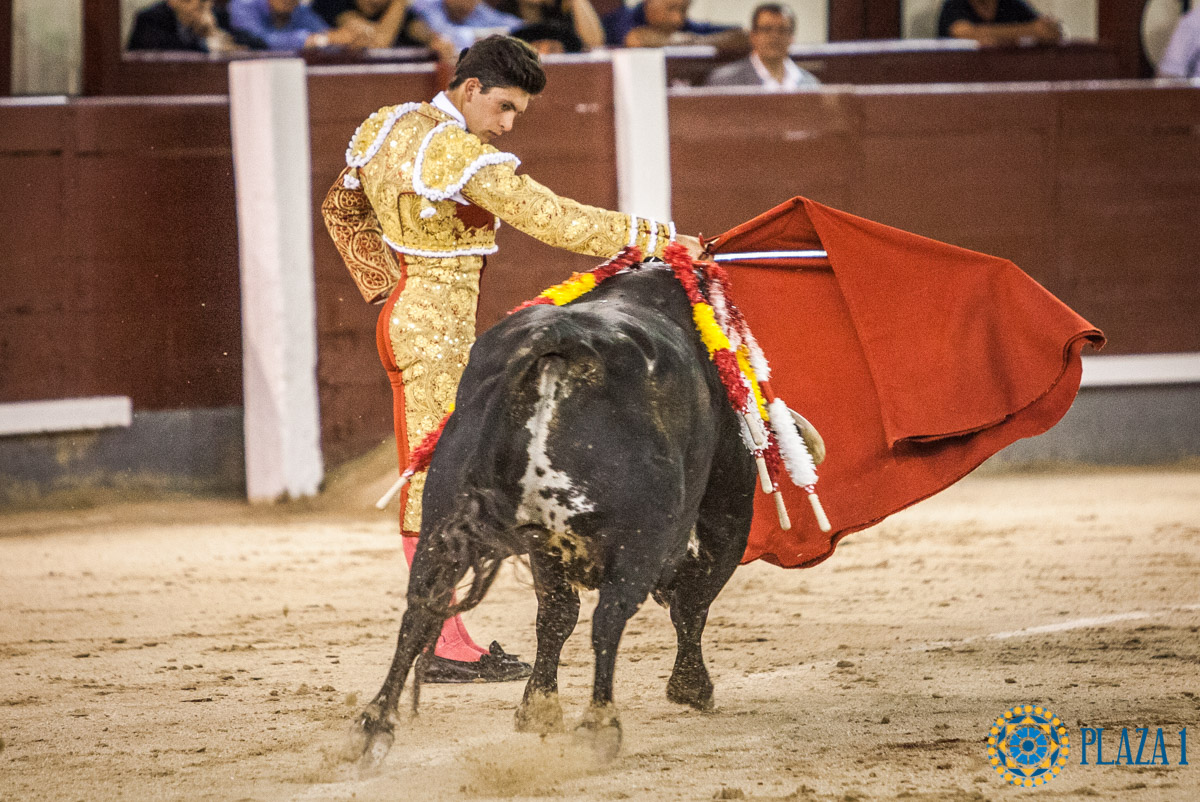 Madrid - Novillada nocturna - Viernes 3 de agosto de 2018