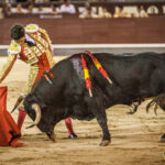 Madrid - Novillada nocturna - Viernes 3 de agosto de 2018