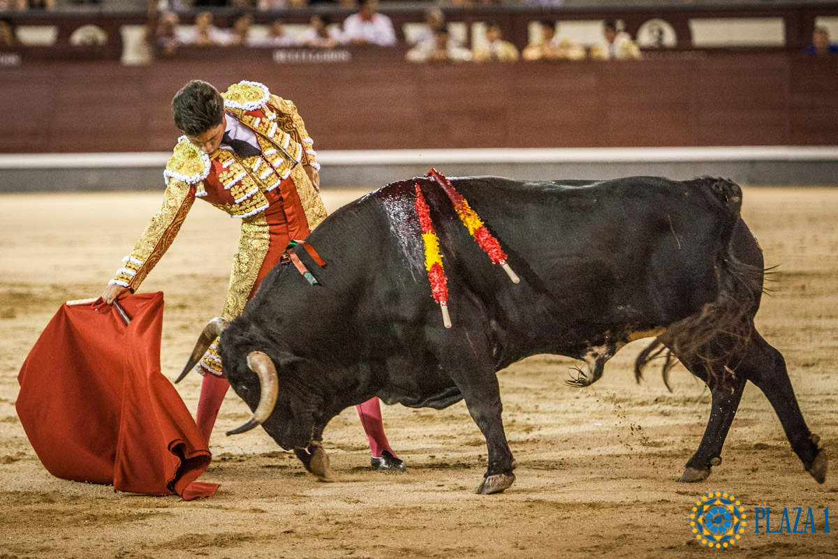 Madrid - Novillada nocturna - Viernes 3 de agosto de 2018