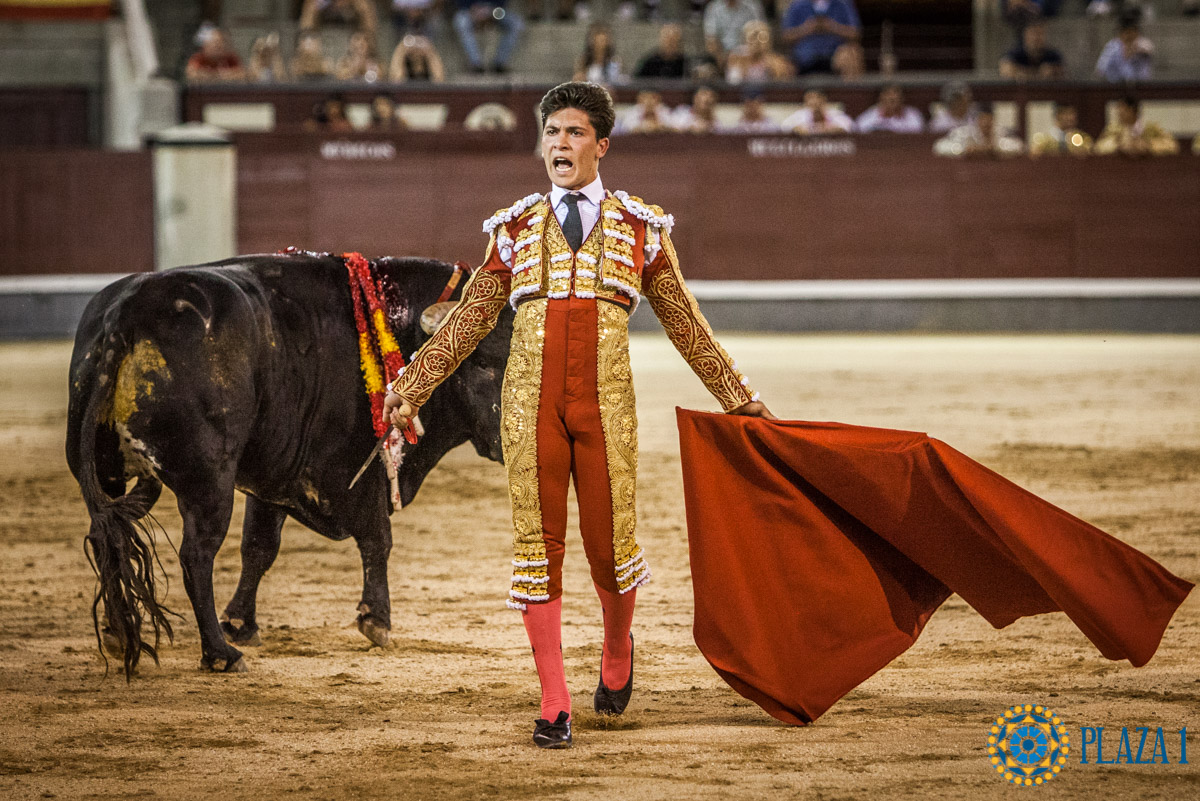 Madrid - Novillada nocturna - Viernes 3 de agosto de 2018