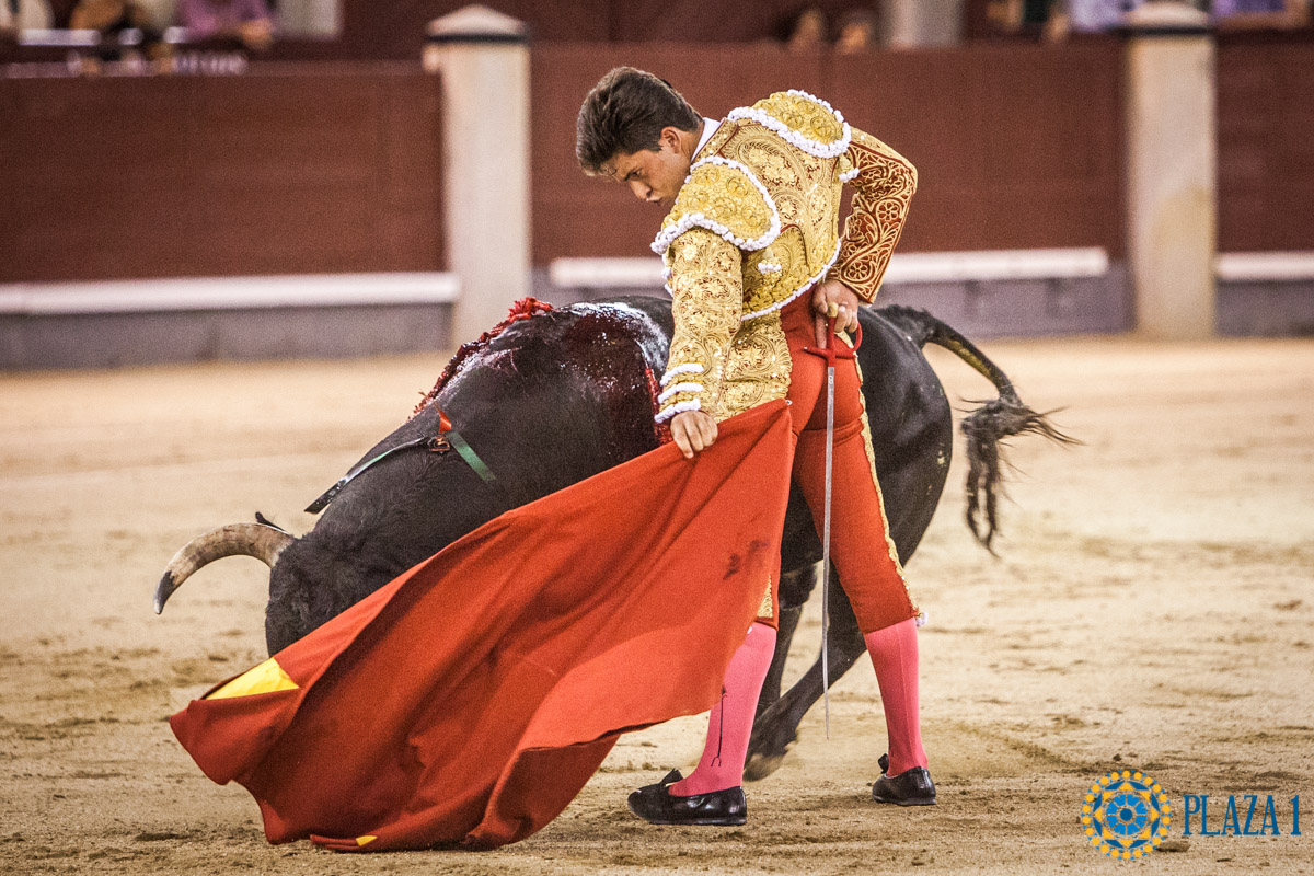 Madrid - Novillada nocturna - Viernes 3 de agosto de 2018