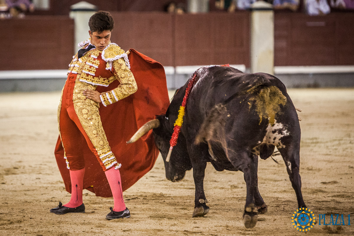 Madrid - Novillada nocturna - Viernes 3 de agosto de 2018