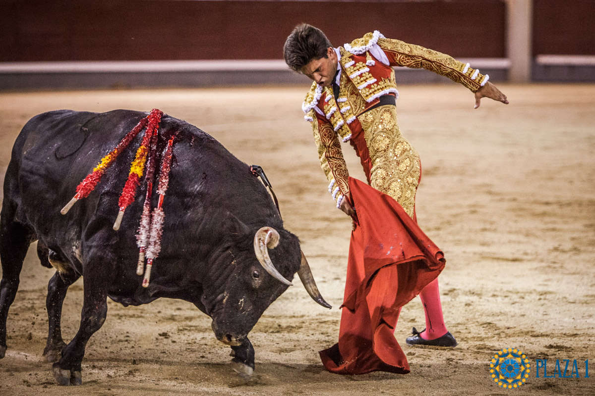 Madrid - Novillada nocturna - Viernes 3 de agosto de 2018