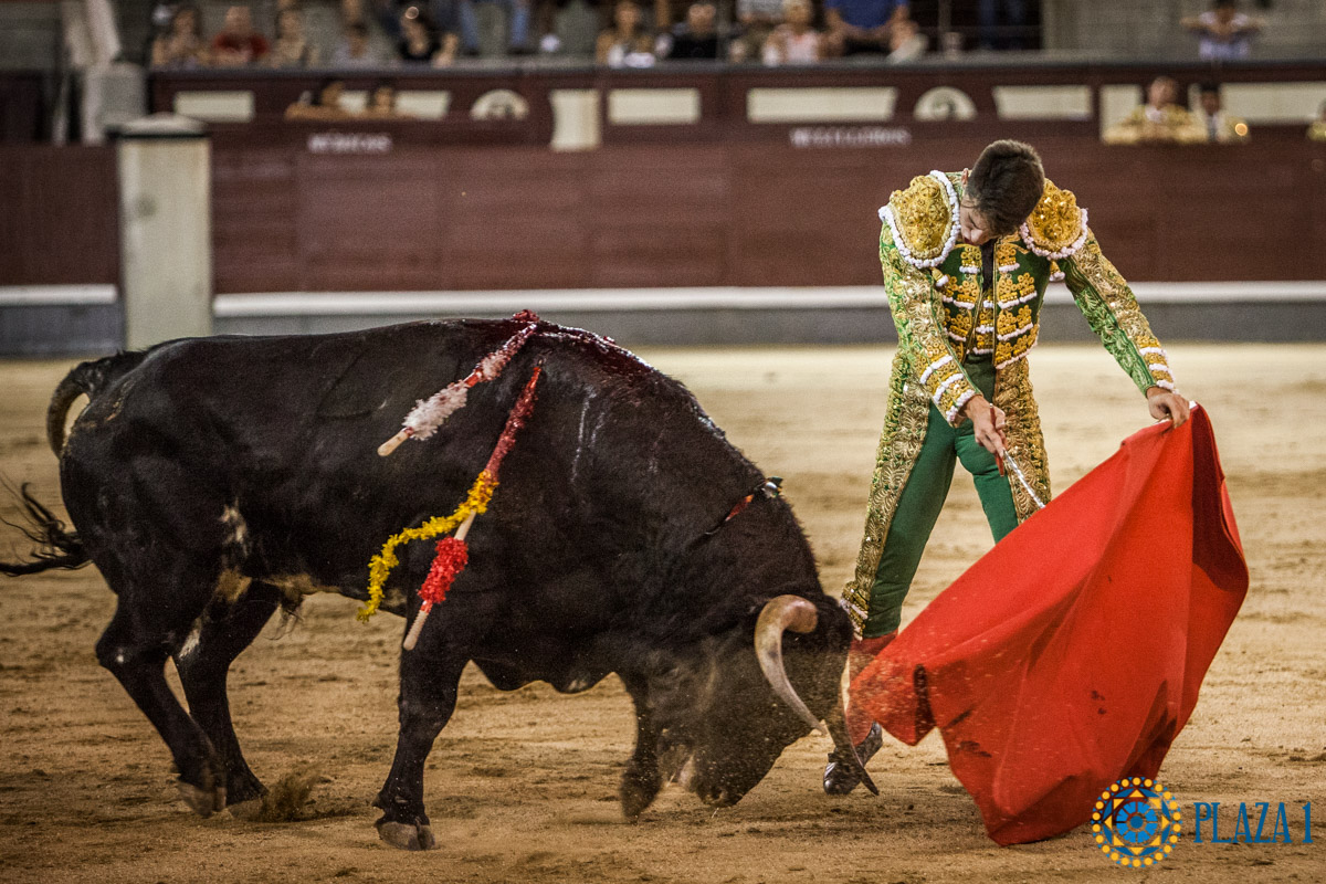 Madrid - Novillada nocturna - Viernes 3 de agosto de 2018