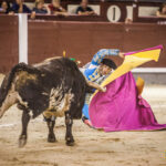Madrid - Novillada nocturna - Viernes 3 de agosto de 2018