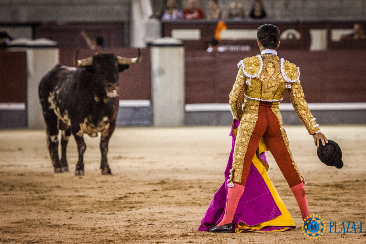 Madrid - Novillada nocturna - Viernes 3 de agosto de 2018