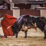 Madrid - Novillada nocturna - Viernes 3 de agosto de 2018