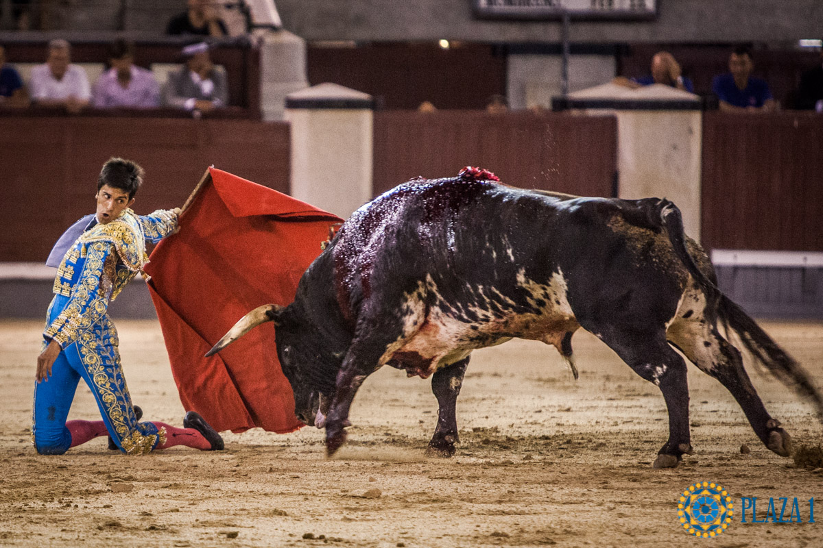 Madrid - Novillada nocturna - Viernes 3 de agosto de 2018