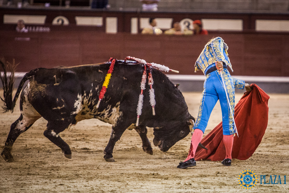 Madrid - Novillada nocturna - Viernes 3 de agosto de 2018