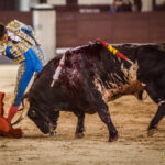 Madrid - Novillada nocturna - Viernes 3 de agosto de 2018