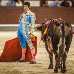 Madrid - Novillada nocturna - Viernes 3 de agosto de 2018