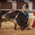 Madrid - Novillada nocturna - Viernes 3 de agosto de 2018