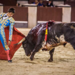 Madrid - Novillada nocturna - Viernes 3 de agosto de 2018